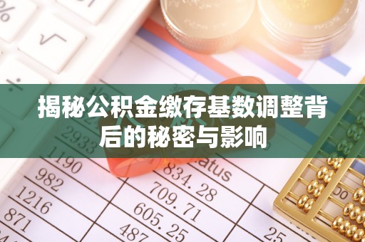 祁阳揭秘公积金缴存基数调整背后的秘密与影响