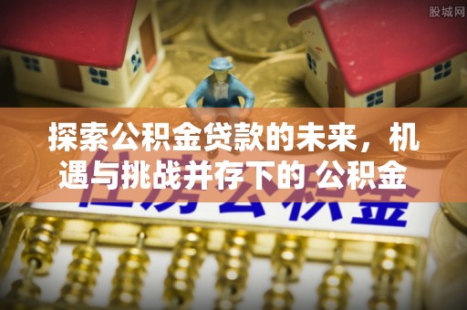 祁阳探索公积金贷款的未来，机遇与挑战并存下的 公积金贷款风险防控