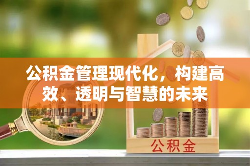 祁阳公积金管理现代化，构建高效、透明与智慧的未来