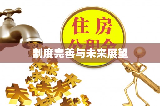 祁阳制度完善与未来展望