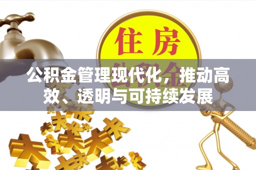 祁阳公积金管理现代化，推动高效、透明与可持续发展