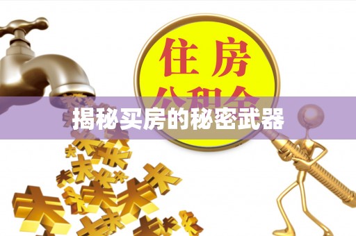 祁阳揭秘买房的秘密武器