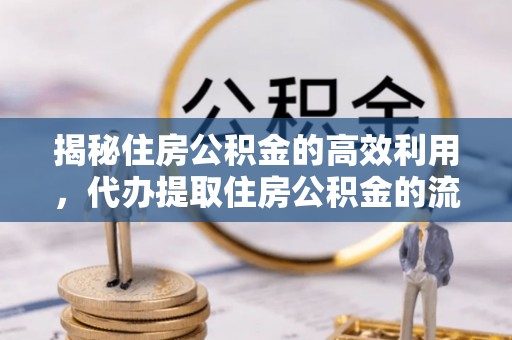 祁阳揭秘住房公积金的高效利用，代办提取住房公积金的流程与技巧