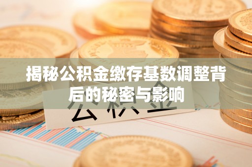 祁阳揭秘公积金缴存基数调整背后的秘密与影响