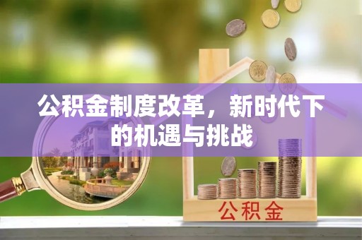 祁阳公积金制度改革，新时代下的机遇与挑战