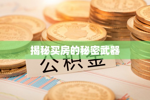 祁阳揭秘买房的秘密武器