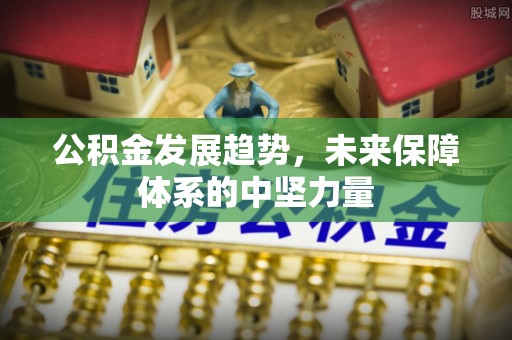 祁阳公积金发展趋势，未来保障体系的中坚力量