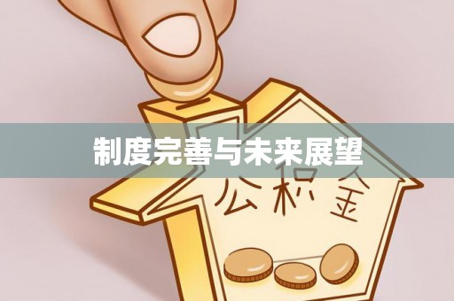 祁阳制度完善与未来展望