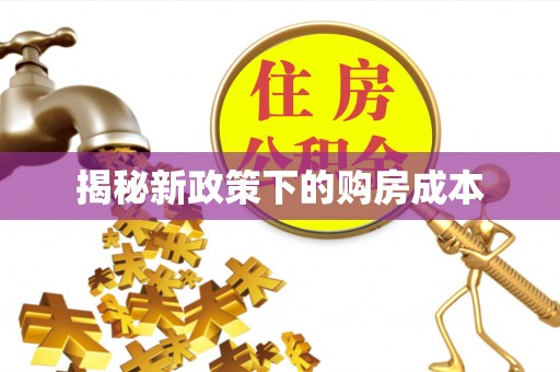 祁阳揭秘新政策下的购房成本