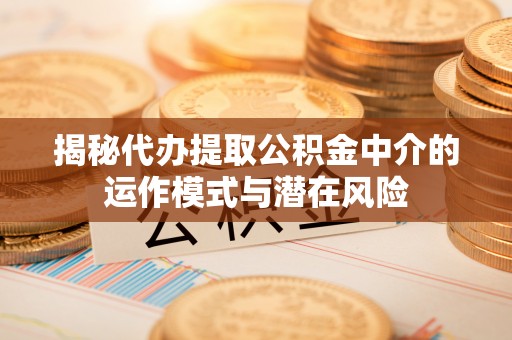 祁阳揭秘代办提取公积金中介的运作模式与潜在风险