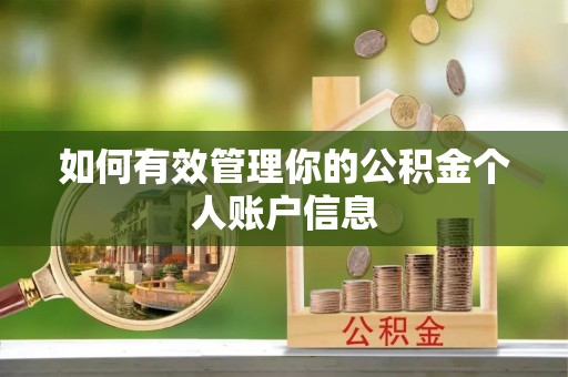 祁阳如何有效管理你的公积金个人账户信息