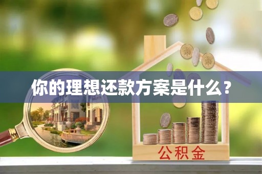 祁阳你的理想还款方案是什么？