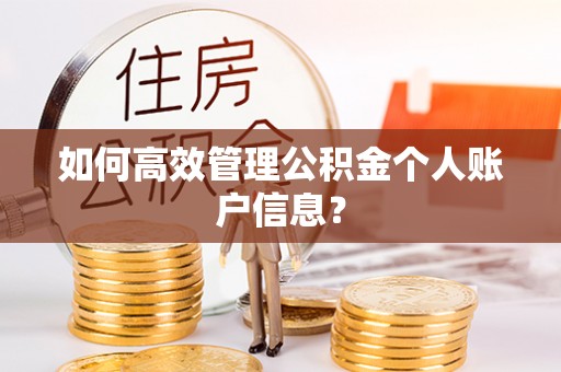 祁阳如何高效管理公积金个人账户信息？