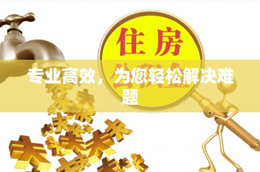 祁阳专业高效，为您轻松解决难题