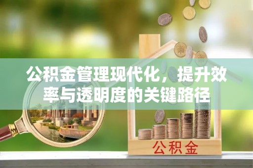 祁阳公积金管理现代化，提升效率与透明度的关键路径
