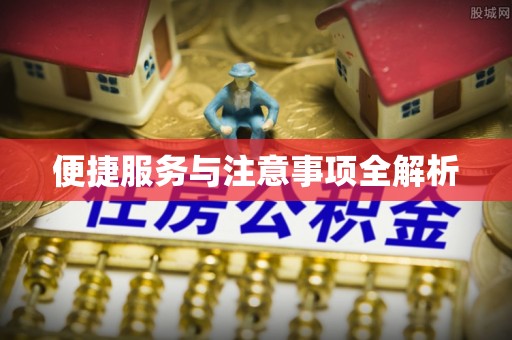 祁阳便捷服务与注意事项全解析