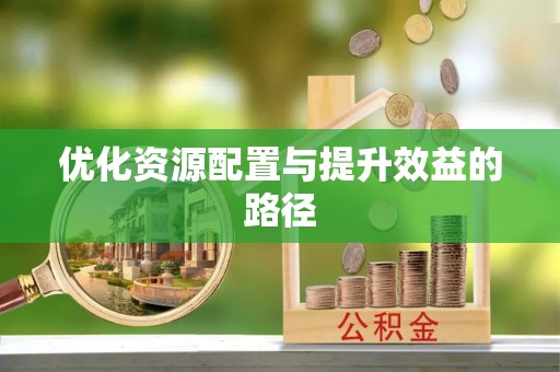 祁阳优化资源配置与提升效益的路径