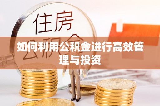 祁阳如何利用公积金进行高效管理与投资