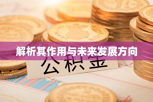 祁阳解析其作用与未来发展方向