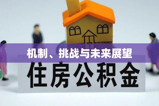 祁阳机制、挑战与未来展望