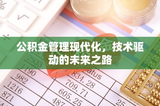 祁阳公积金管理现代化，技术驱动的未来之路